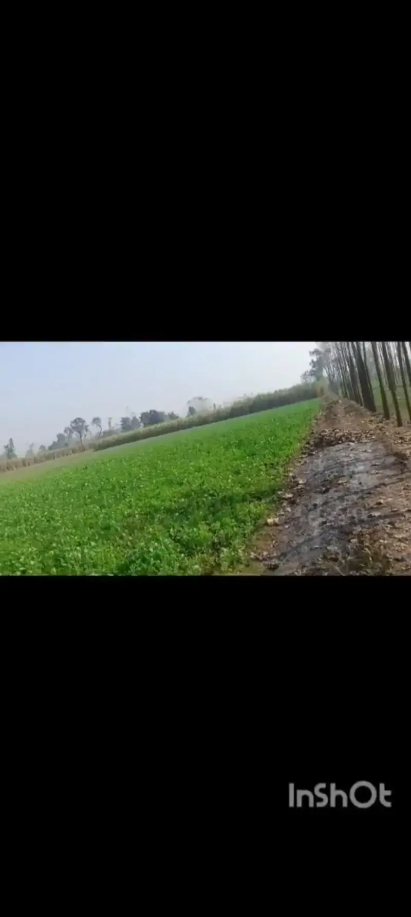 Agriculture land in Saharanpur 