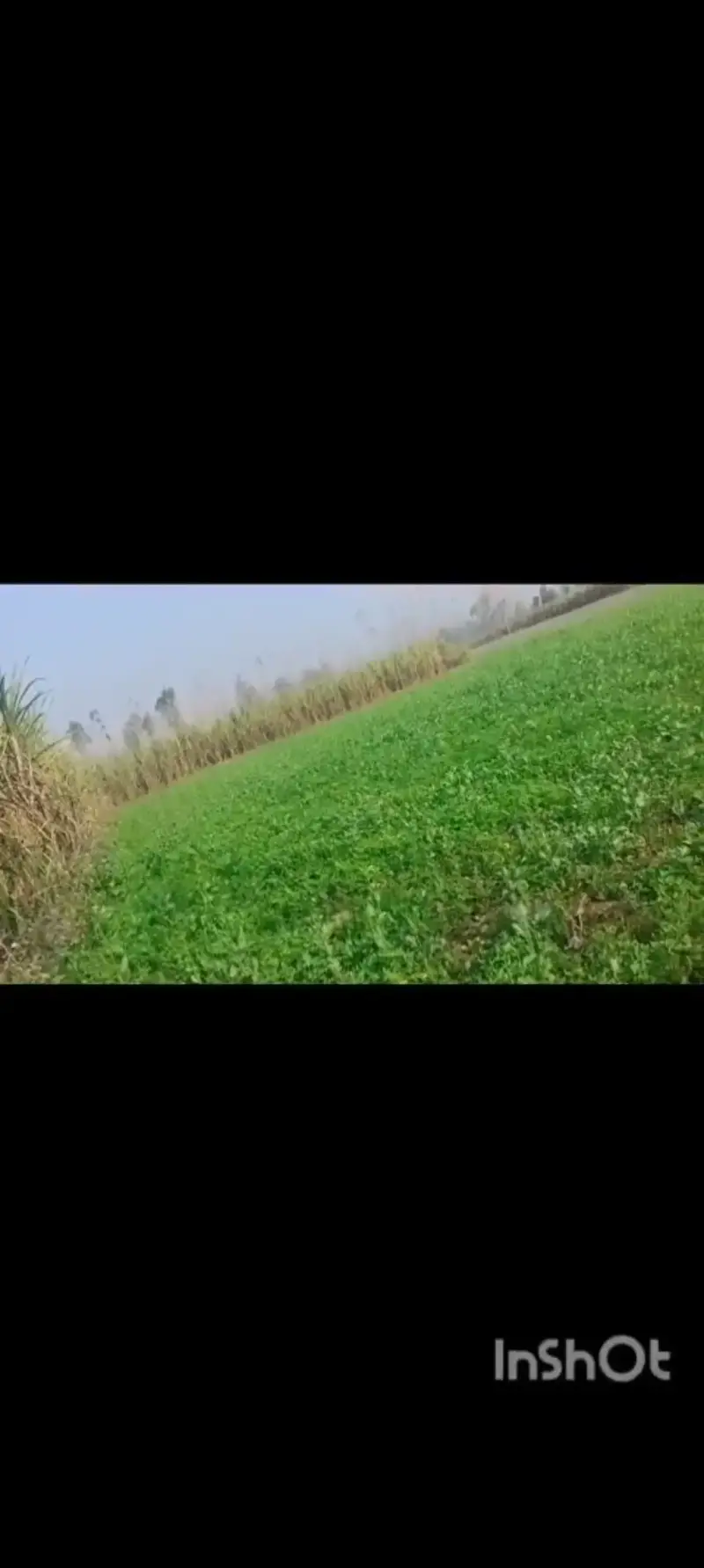 Agriculture land in Saharanpur  Interior View -  in Nangal, Saharanpur 