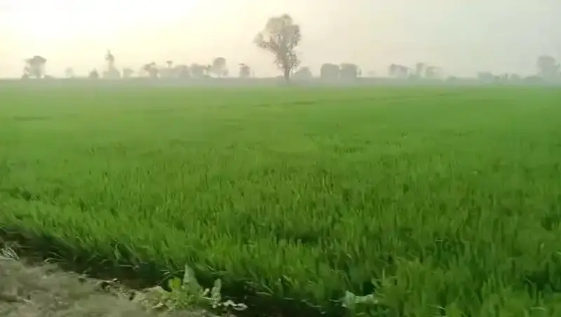 AGRICULTURE LAND IN BAGHPAT AT THROW AWAY PRICE , GUARANTEED PROFIT