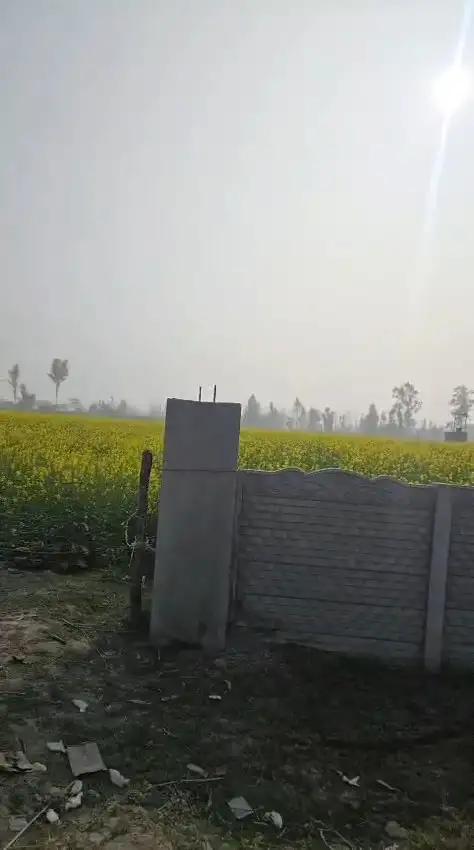AGRICULTURE LAND IN GARHMUKTESHWAR, BEST FOR FARMHOUSES Interior View - Polyhouse<br>Agriculture in GARH, BIJORA