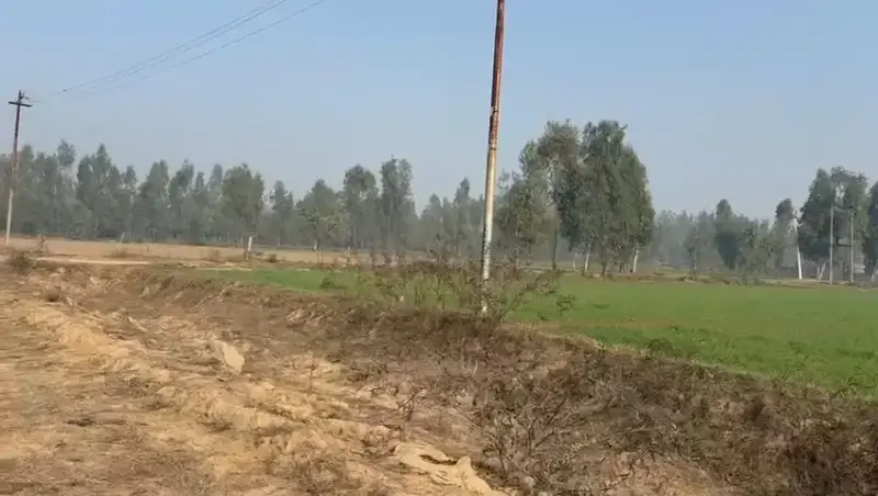 BEST  agriculture PLOT for investment, farmhouse, agro projects