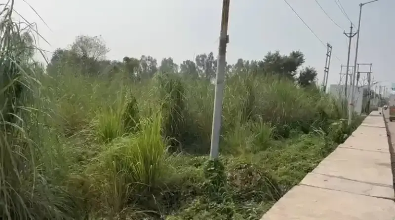 Perfect location for PLOTTING Interior View - Polyhouse<br>Agriculture in Dadri-sikandrabad 