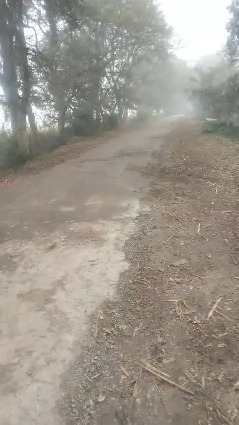 BUY AGRICULTURE LAND AT VERY AFFORDABLE PRICE