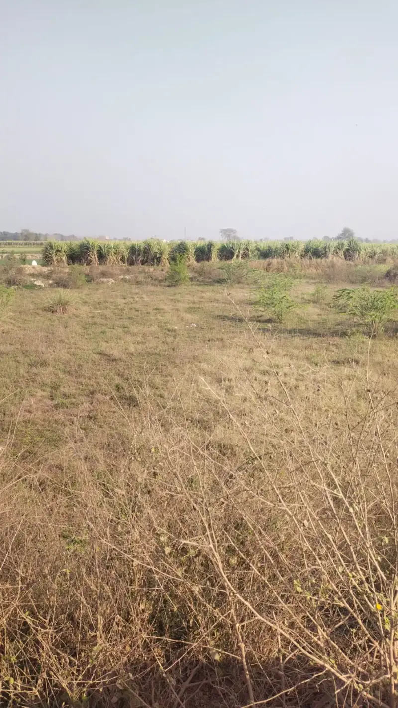 BEST LAND FOR INDUSTRIAL USE IN BAGHPAT