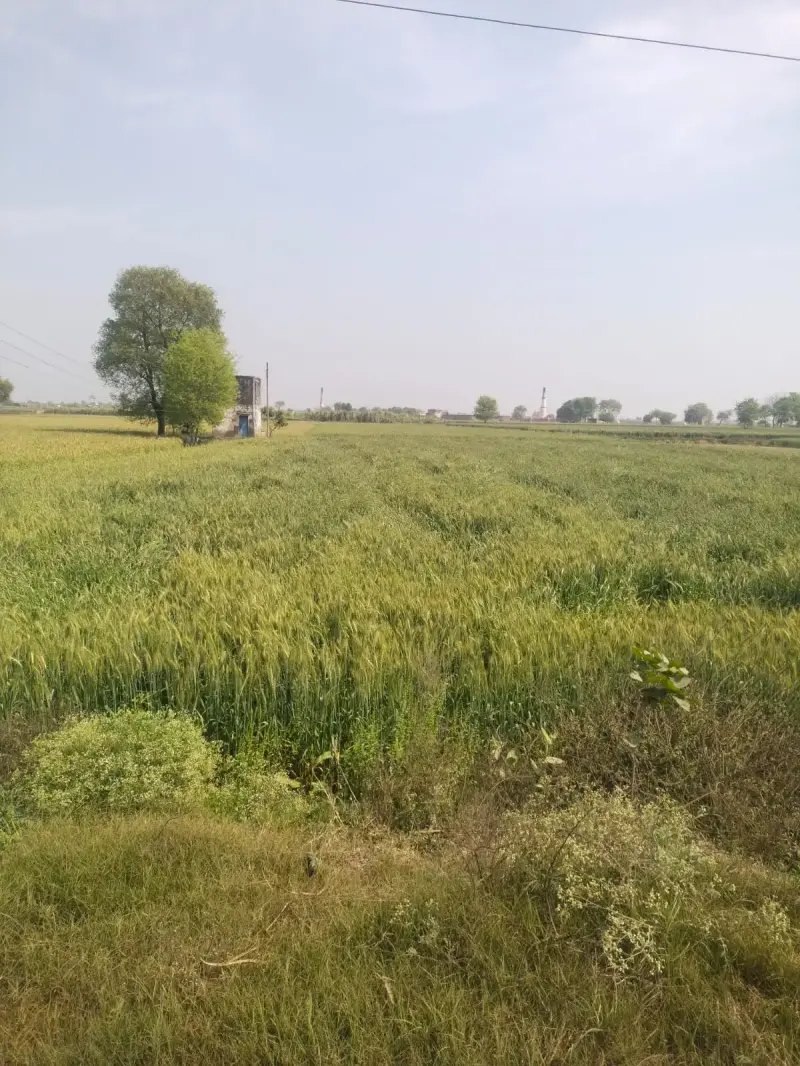 Baghpat's Most Valuable Land  -  Invest Before It's Gone.