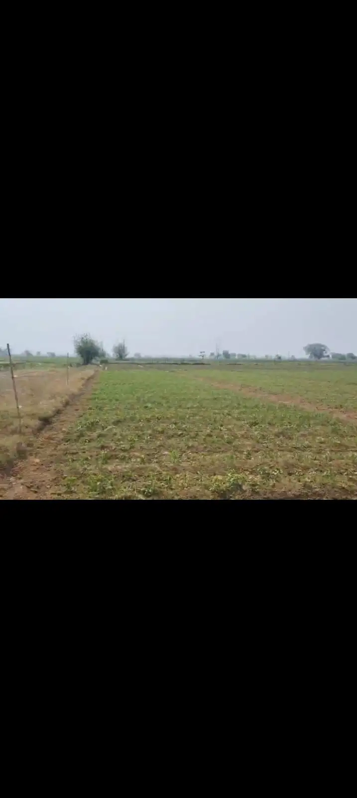 PRIME LOCATION AGRICULTURE LAND IN HAPUR (PARTAPUR) 3 BIGHA