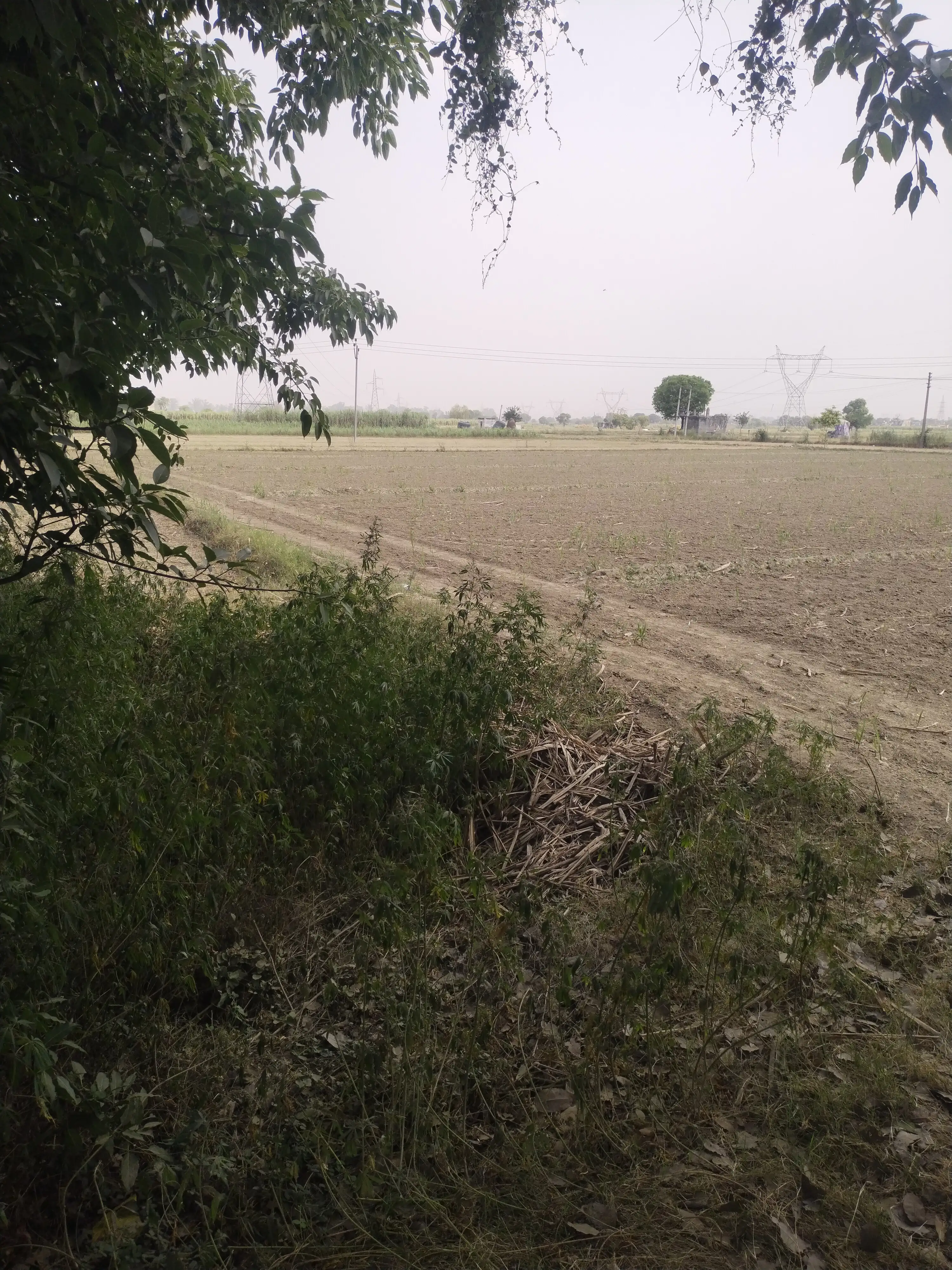 Prime Agricultural Land for Sale in Baghpat – Ideal for Farmhouse , Industry and Investment Interior View - Polyhouse<br>Agriculture in Baghpat,pawla