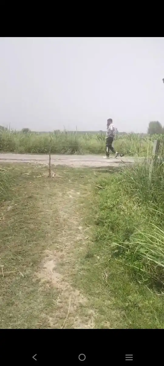 Own Prime Land in Shukratal – Ideal Farmhouse Destination Interior View - Polyhouse<br>Agriculture in shukratal
