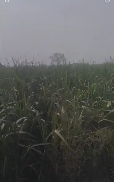 Prime Land in Baghpat for Warehouses, Factories & Logistics