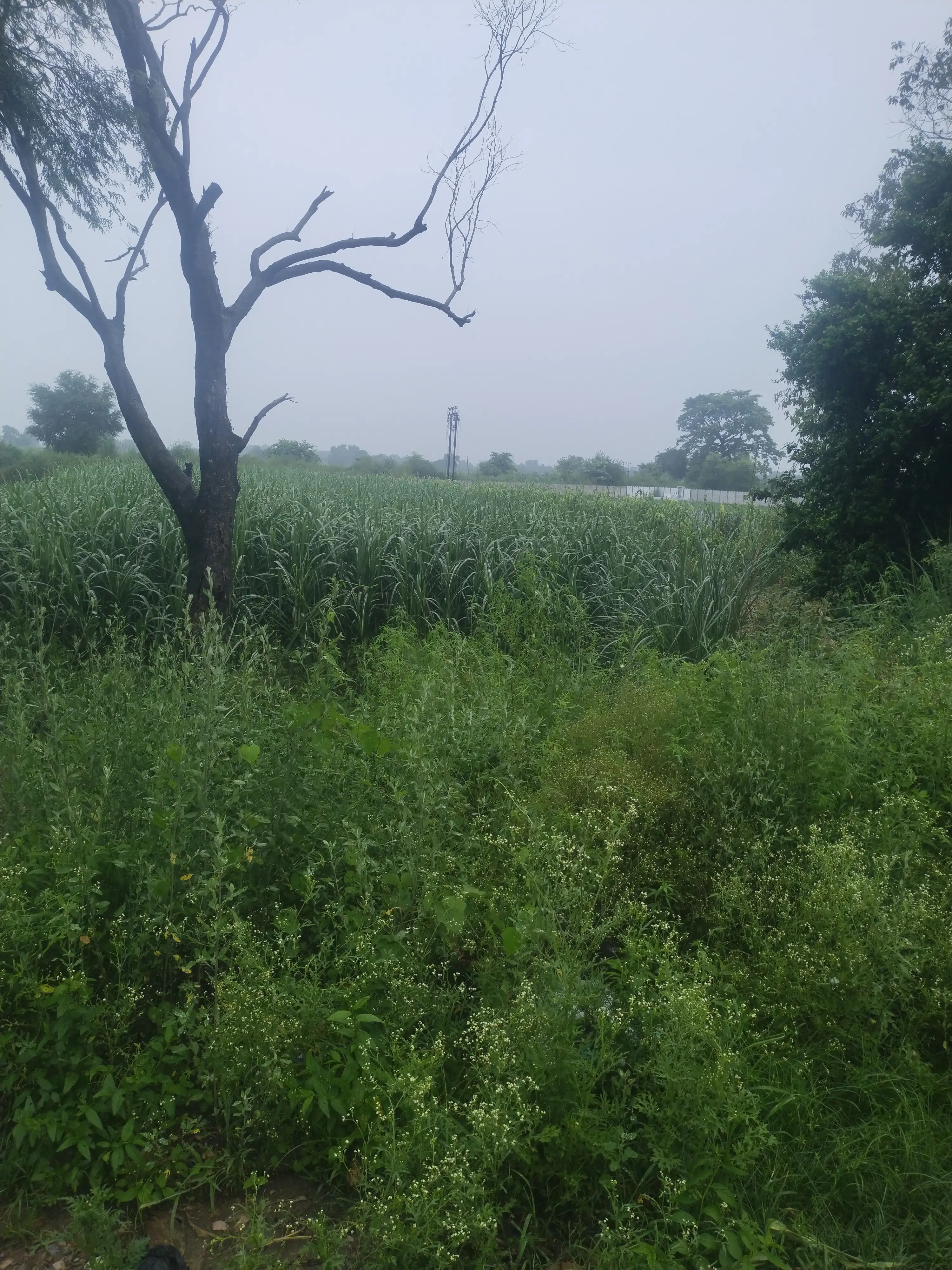 Buy Legally Verified Property in Baghpat | Trusted Real Estate Advisor – BHAVYA VENTURES