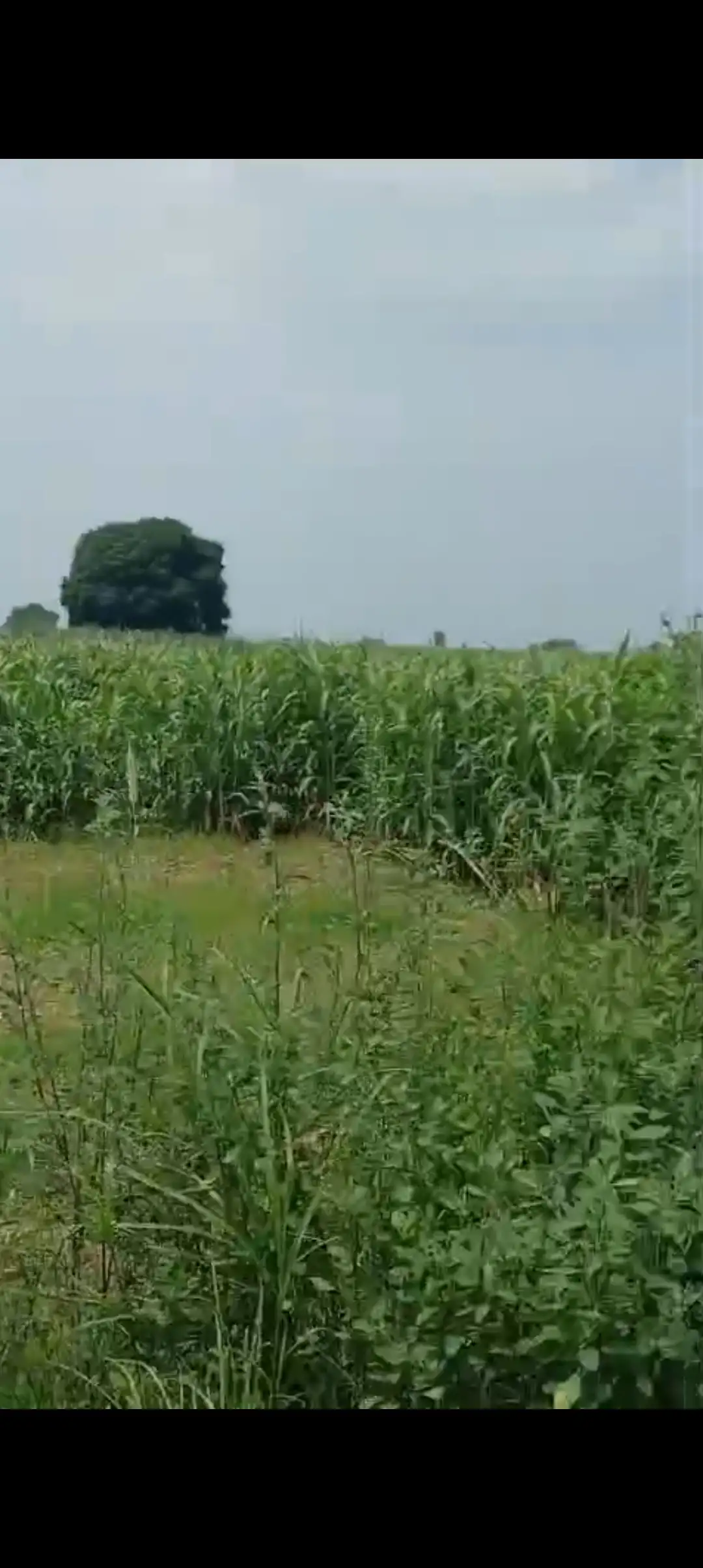 PrimeLocation Land for Sale in Baghpat at Affordable Price